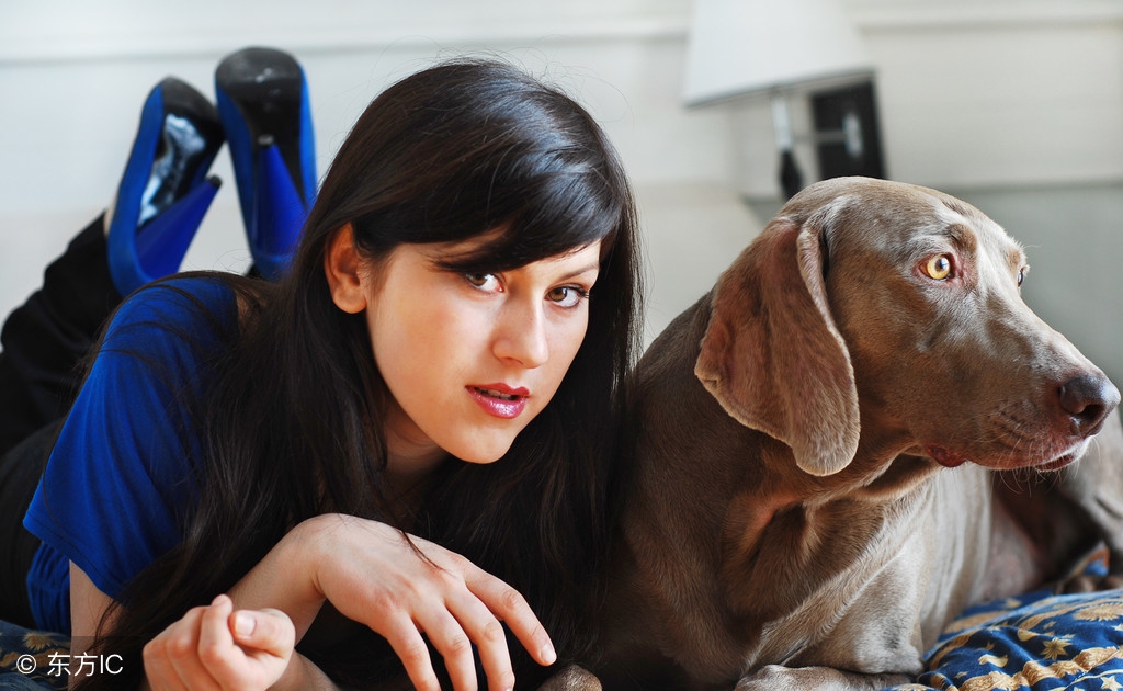 李立纲:雪妮太太|小小说