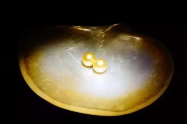 小火说翡翠,珍珠的基础问答