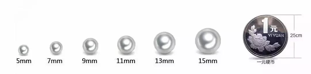 珍珠知识新手入门教学,小火说免费阅读