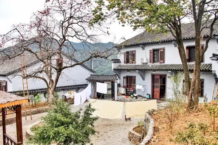 上虞幽兰轩城市民宿,上虞岭南民宿推荐