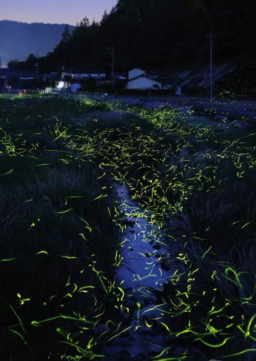 最美丽的霓虹灯光,最美丽的灯光夜晚不带字幕