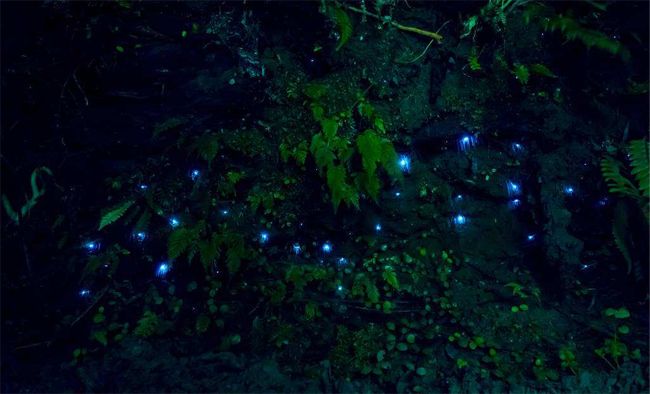 最美丽的霓虹灯光,最美丽的灯光夜晚不带字幕