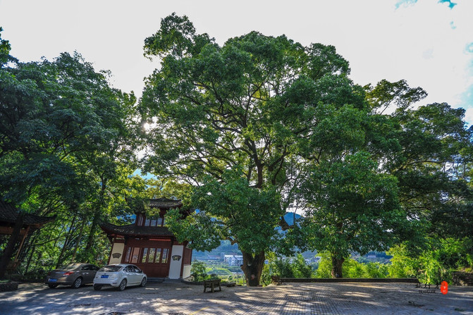 浙江省遂昌县有哪些地方,遂昌避暑好玩的地方有哪些