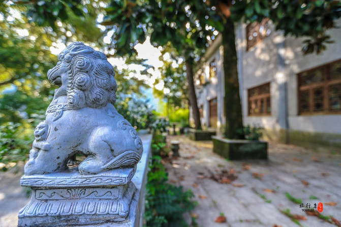 浙江省遂昌县有哪些地方,遂昌避暑好玩的地方有哪些