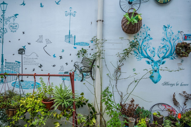 遂昌，一个在浙江只有25度的县城，被江浙沪誉为最值得度假的地方