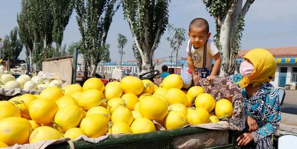走遍天涯海角忘不了歌名叫什么,走遍天涯海角忘不了原唱