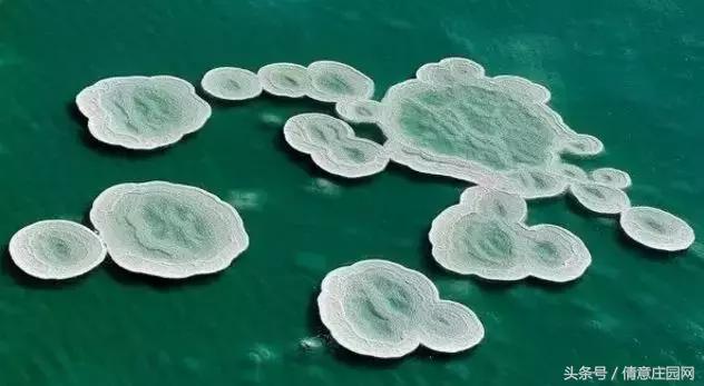 死海，就快要“死”了，再不去，可能真的来不及了！