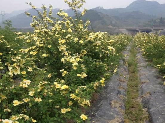 瀵规爣鍏堣繘鍧氭寔璧惰秴,瀵规爣鍏堣繘鍦板尯瀛︿範鍏堣繘缁忛獙