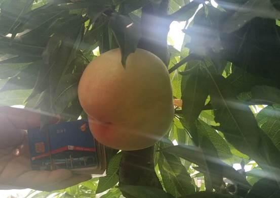 瀵规爣鍏堣繘鍧氭寔璧惰秴,瀵规爣鍏堣繘鍦板尯瀛︿範鍏堣繘缁忛獙