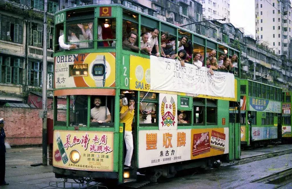 香港—连鸽子都已经习惯了“叮叮车”的节奏