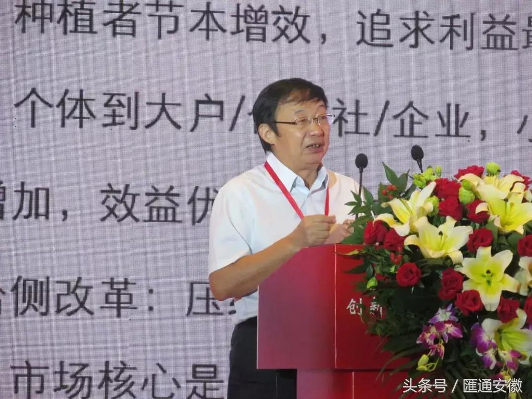 仅两年！让一个垂死品种销量达到120万亩，丰大做到了