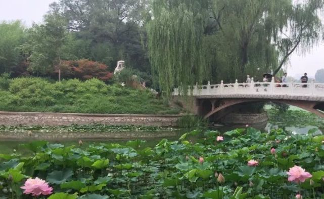 北京哪些公园对18岁以下免费,北京60岁以上老人免费公园明细