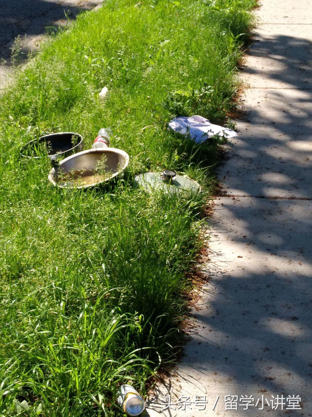 在加拿大生活真的非常舒服,加拿大纳奈莫生活体验