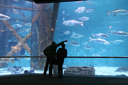 有趣的相机视频教程,佳能相机使用技巧大全