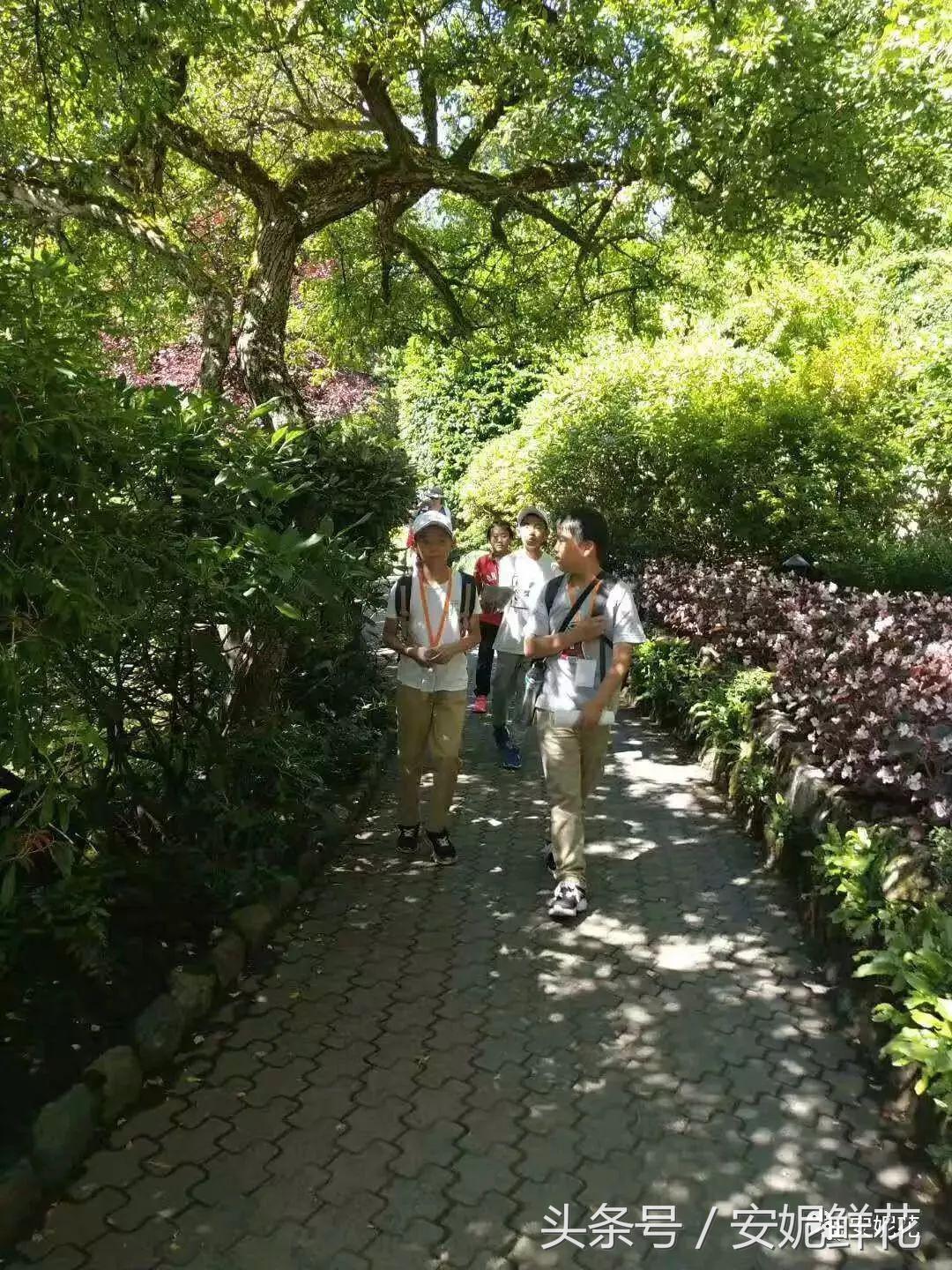 浸入式体验北美教育，安妮花2018童子军夏令营跨国行记