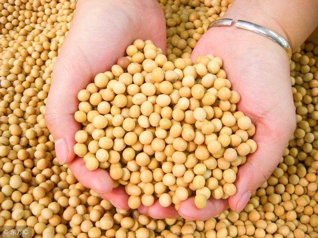 大豆异黄酮哪个牌的女性喝最好,大豆异黄酮有6大作用