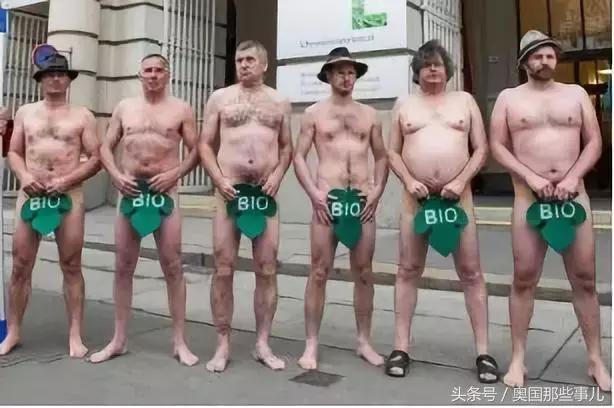 新款奥地利,新版奥地利