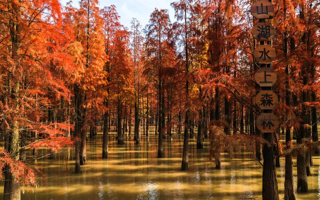 杭州第二酒店,杭州临安万豪酒店几星级