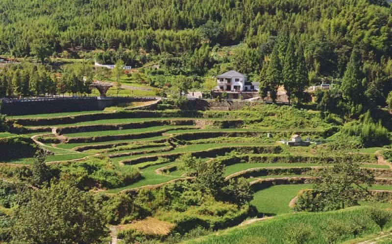 杭州第二酒店,杭州临安万豪酒店几星级