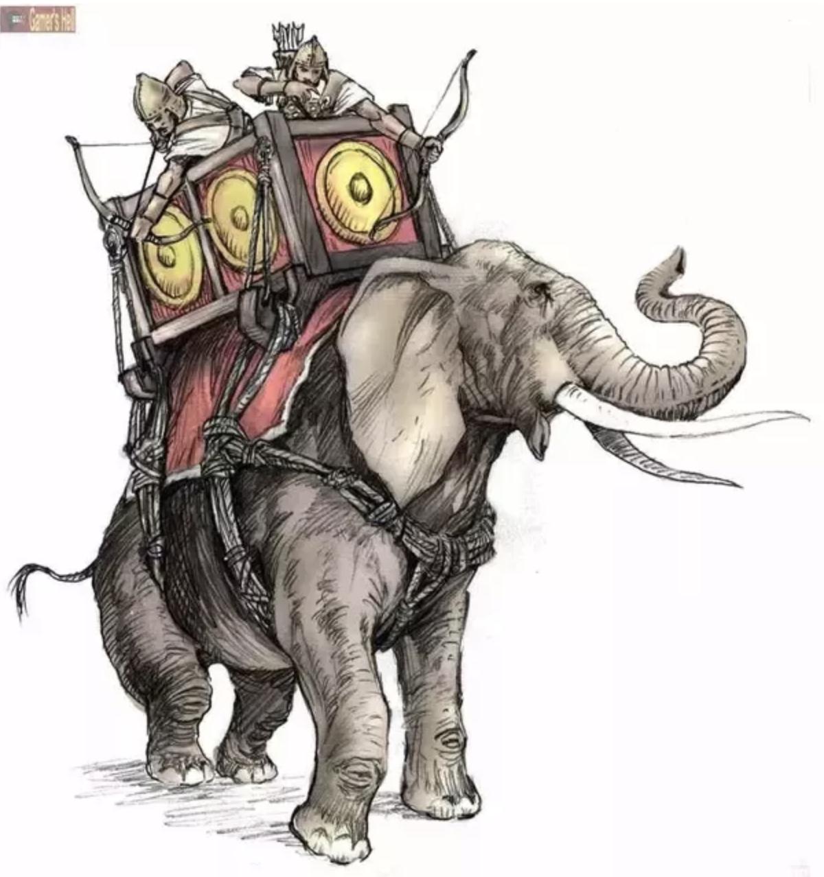 军事中的奇葩事,盘点那些有趣的军事意外