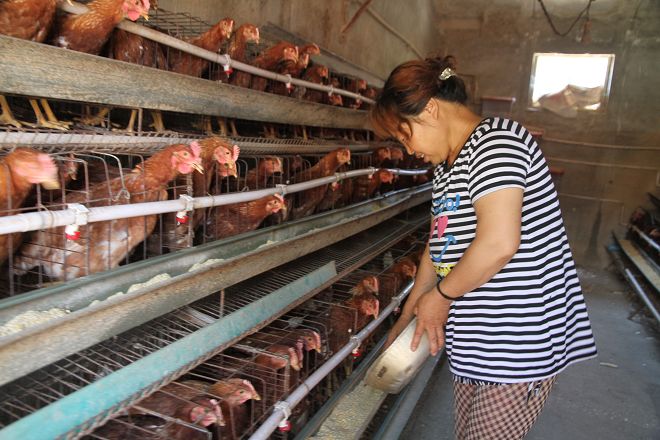 结对帮扶心连心脱贫攻坚,开展精准扶贫结对帮扶活动