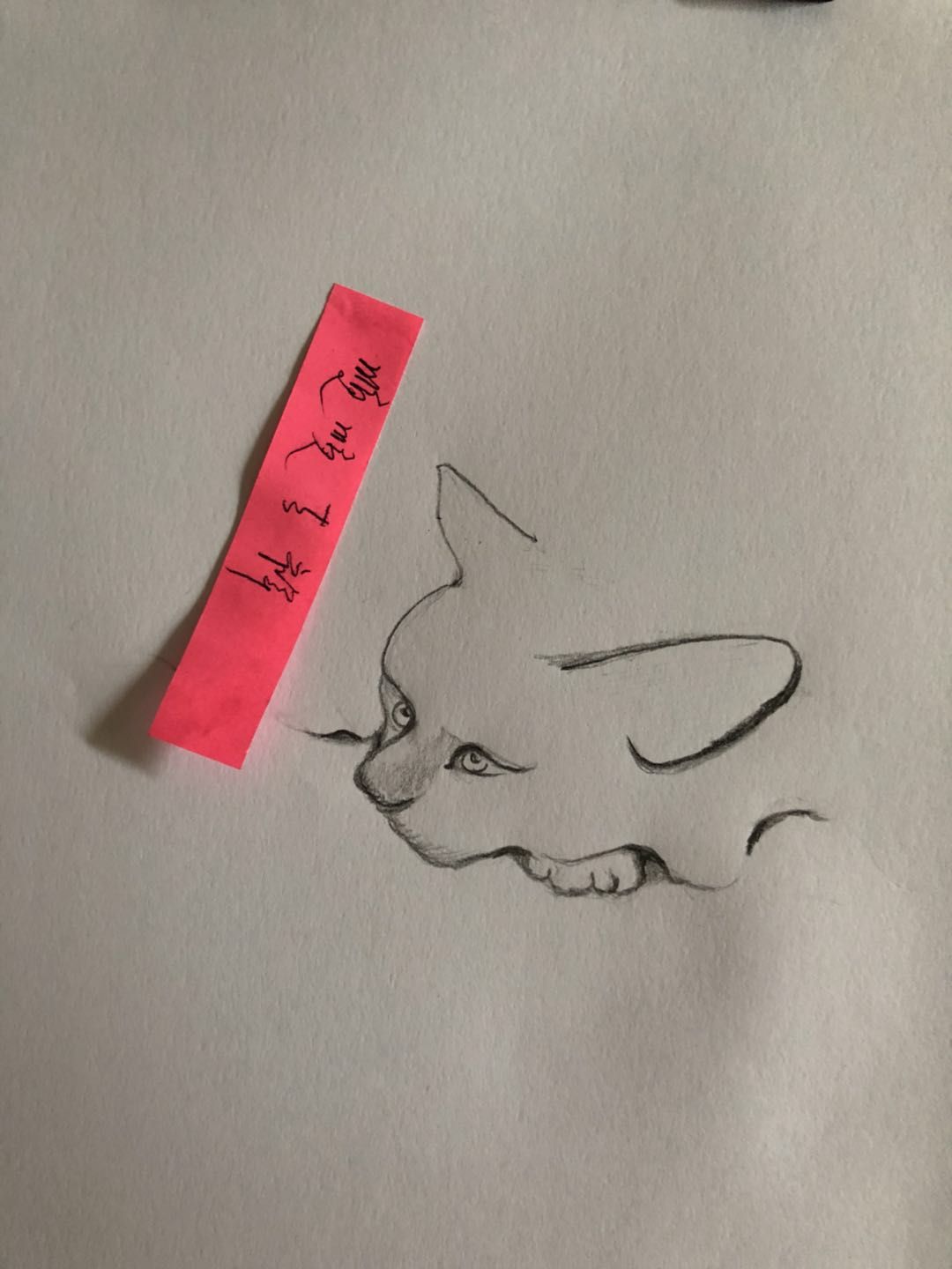 幸福画吧7月份作品,幸福原创绘画作品欣赏