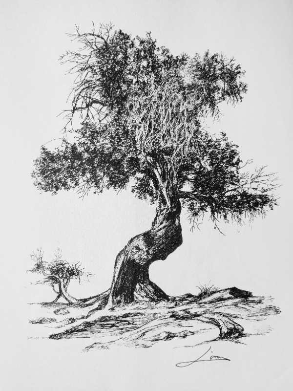 幸福画吧7月份作品,幸福原创绘画作品欣赏