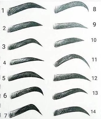 人物眉毛怎么画,画眉毛的教程简笔画