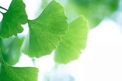 大学生网上应聘,从被骗入传销组织到坠河身亡,只过了8天……|今晚九点半