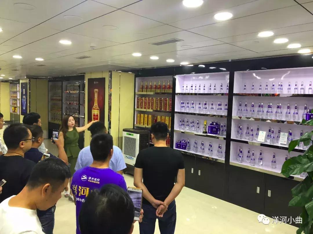 洋河小曲这个酒怎么样,洋河小曲安徽