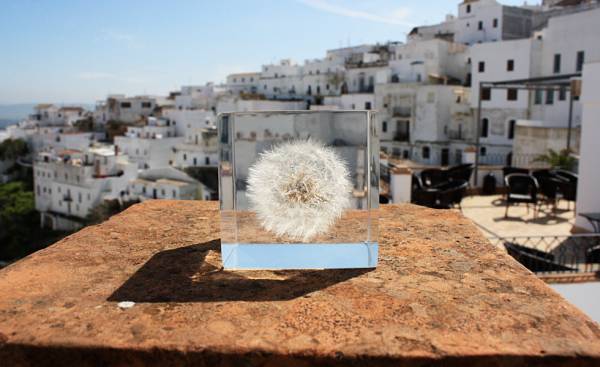 礼物篇:实用又有逼格的物品共享