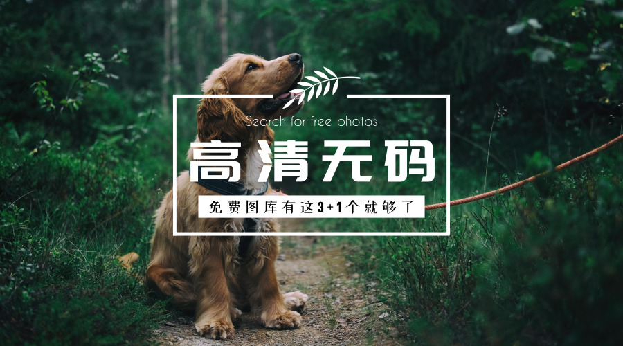 高清无版权照片哪里去找,高清大图图库