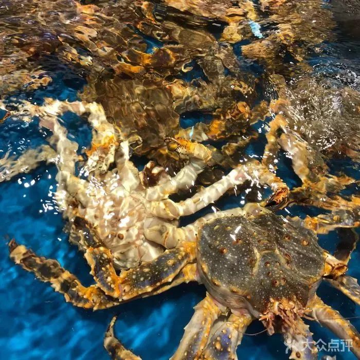 在十里堡住过的，都经历过一段传奇！