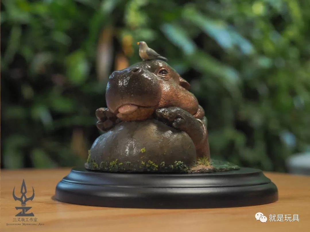 这只网红河马比你家喵星人都可爱!