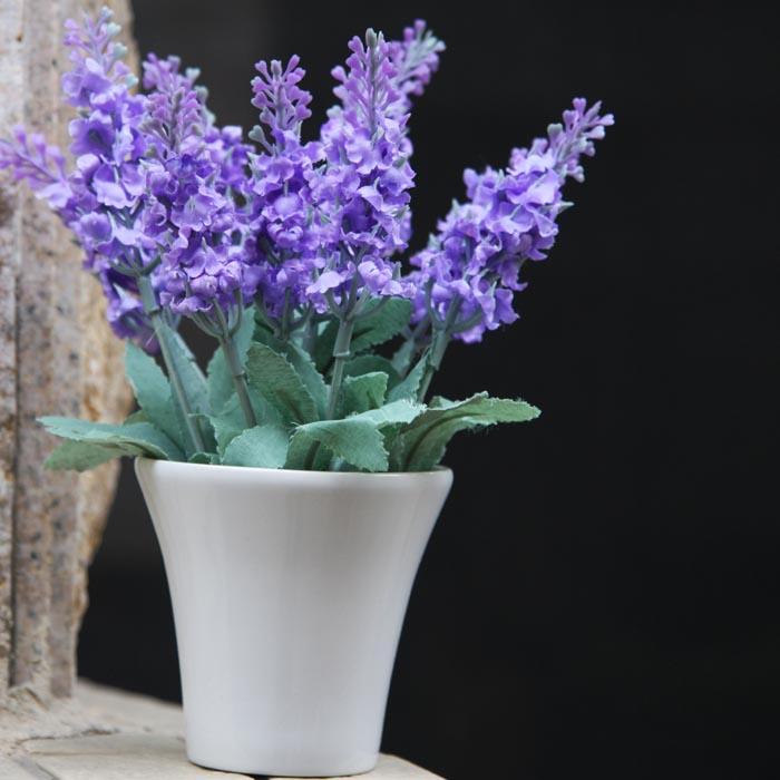 薰衣草怎么开花最香又好看,薰衣草开花方法步骤图