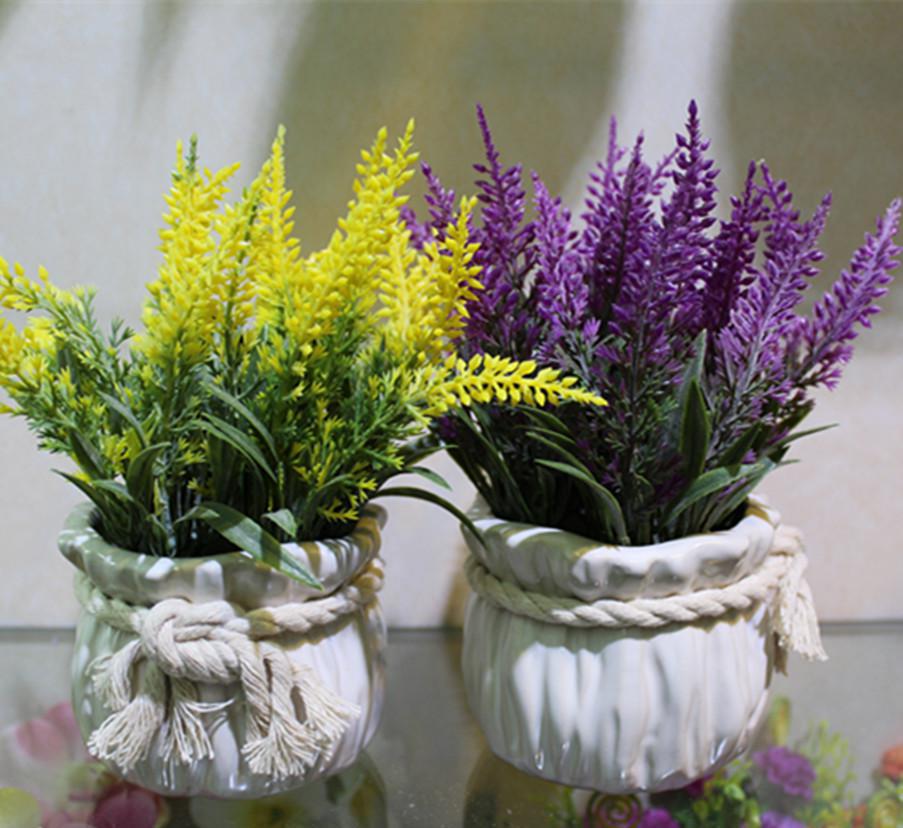 薰衣草怎么开花最香又好看,薰衣草开花方法步骤图