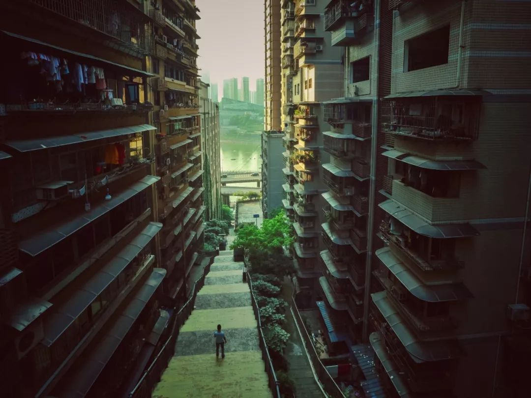 24-70mm焦段适合拍什么,24-70适合挂机吗