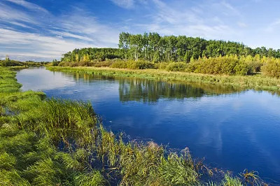 有多少大学生在网上招聘被骗,31名大学生求职被骗