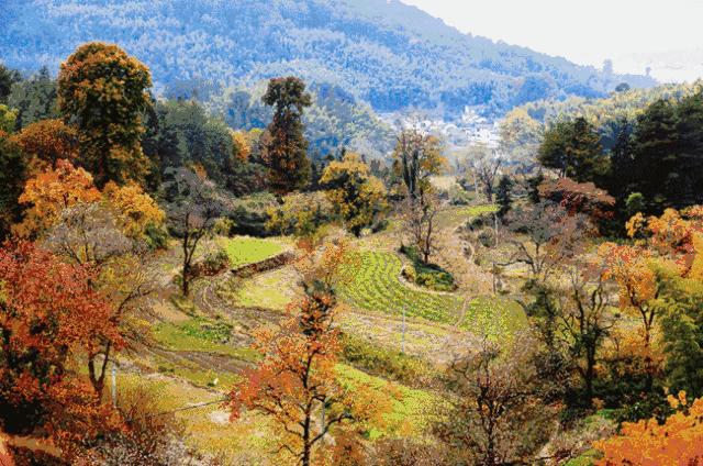 上海利好最新消息,上海基建最新利好