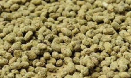 自家做的瓜豆酱配什么菜好吃,现吃现做的瓜豆酱