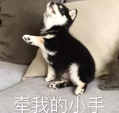 平价香水推荐的味道,香水味道淡淡的推荐