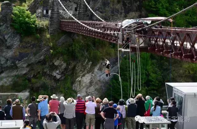 新西兰纯净之旅,10天时间旅游攻略