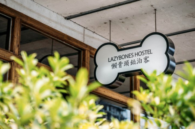 成都最便宜的青年旅舍在哪里,成都最好的国际青年旅舍