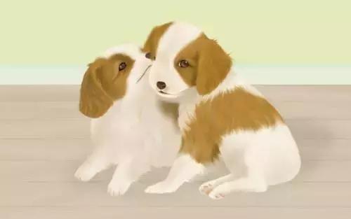 考研政治80难不难,考研政治80+是如何做到的