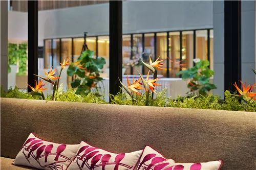 万豪国际酒店最新订房,万豪大酒店开业大吉