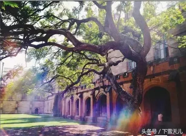 这个冬天让我们相约南半球的澳洲,旅行我的澳洲之旅