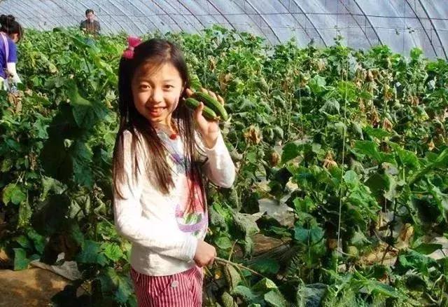 张家口民俗文化节,张家口的文化艺术节