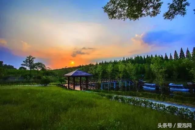 江浙沪深山老林旅游最好去处,清凉避暑好去处森林氧吧