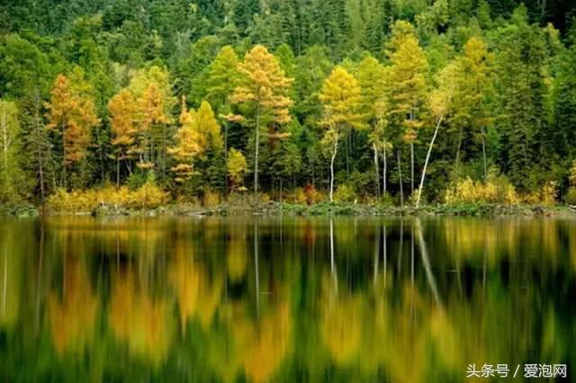 江浙沪深山老林旅游最好去处,清凉避暑好去处森林氧吧