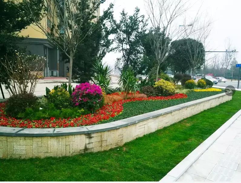 双流新增公园,双流新城区有哪些公园